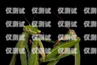 巧用螳螂外呼系統(tǒng)，實(shí)現(xiàn)星號轉(zhuǎn)數(shù)字的便捷操作螳螂科技外呼系統(tǒng)