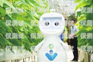 福建電話機器人效果，提升效率與客戶體驗的創(chuàng)新解決方案電話機器人官網(wǎng)