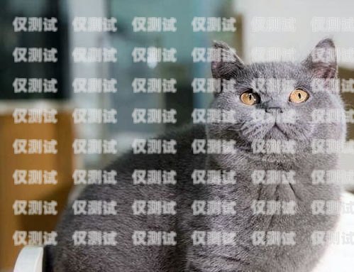 阜陽藍貓電銷卡——通訊領域的創(chuàng)新選擇阜陽藍貓電銷卡在哪辦