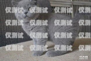 阜陽藍貓電銷卡——通訊領域的創(chuàng)新選擇阜陽藍貓電銷卡在哪辦