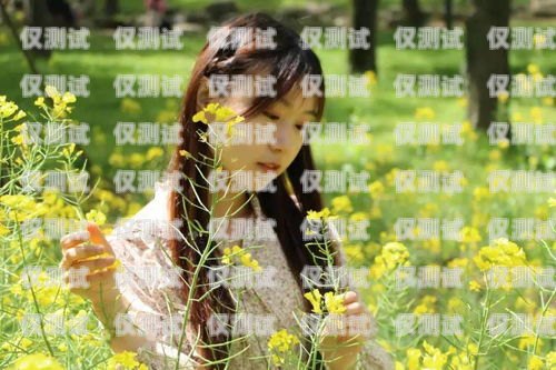 探索北京億商通訊外呼系統的創(chuàng)新與優(yōu)勢北京億商科技有限公司