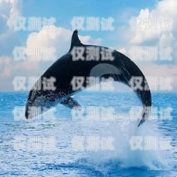 探索虎鯨外呼系統(tǒng)，提升客戶(hù)溝通的創(chuàng)新解決方案虎鯨怎么呼叫不出來(lái)