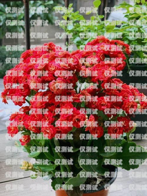 電銷卡不能開網嗎？電銷卡能上網嗎