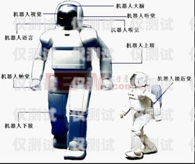揭秘 95 開頭電話機器人，工作原理、優(yōu)勢與應(yīng)用95開頭電話機器人怎么打