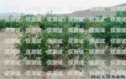 百應電銷機器人哪個好？如何選擇最適合你的電銷機器人百應電銷機器人好用嗎