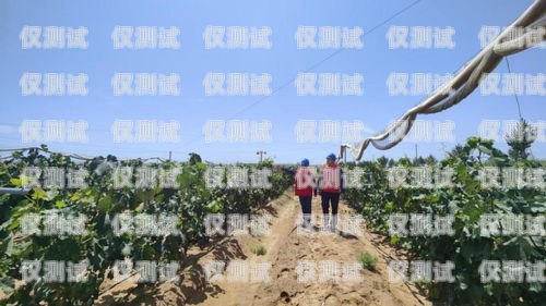 阿勒泰外呼系統的重要用途阿勒泰公司拓展