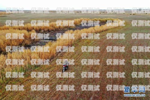 阿勒泰外呼系統的重要用途阿勒泰公司拓展