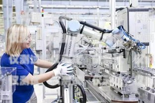 關于查封電銷機器人的深度探討查封電銷機器人怎么處理