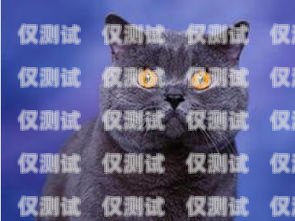 藍貓移動電銷卡自己怎么購買藍貓電銷卡如何