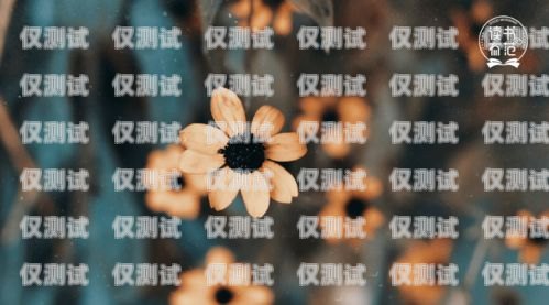 沈陽人工外呼系統(tǒng)好用嗎？全面解析與深度洞察沈陽外呼系統(tǒng)哪家好
