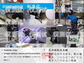 武漢高端電銷機器人費用，合理投入與高效回報武漢高端電銷機器人費用多少