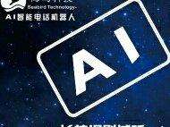 德州電話機(jī)器人自動(dòng)應(yīng)答系統(tǒng)(線上德州機(jī)器人)